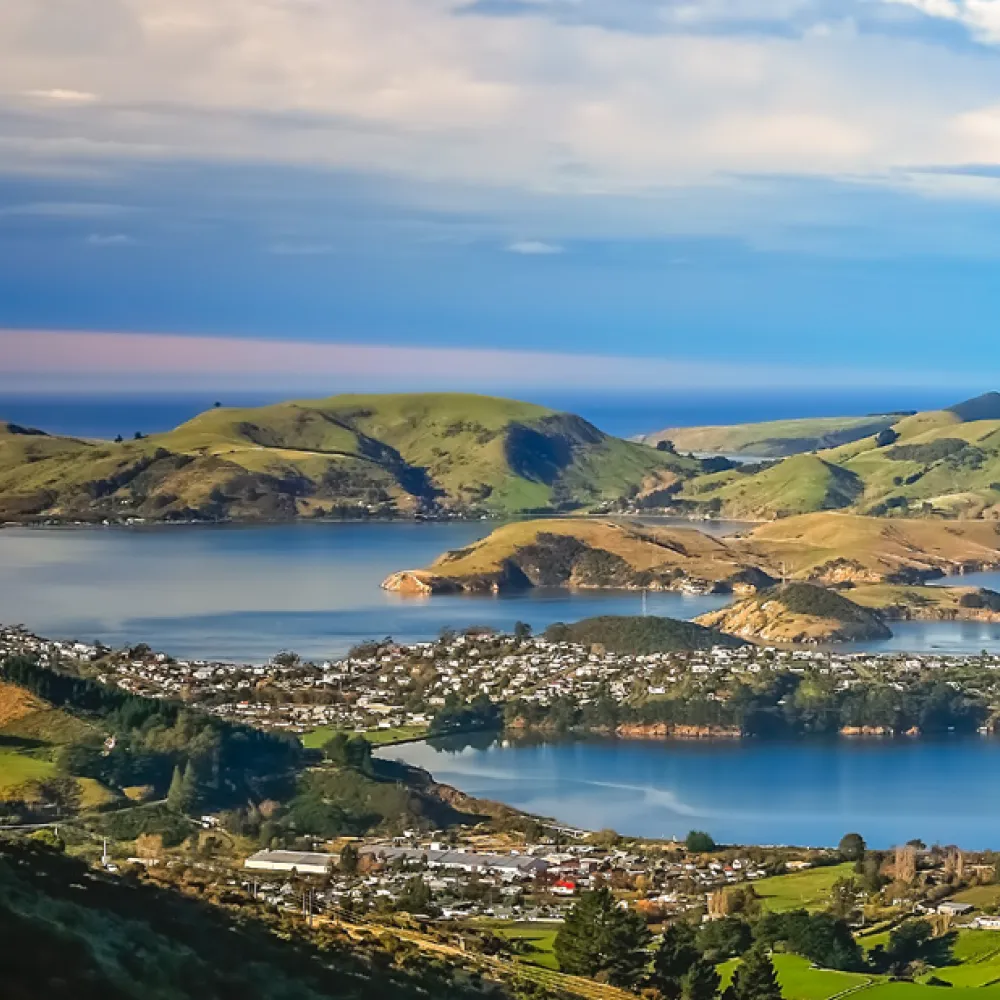 port otago v environmental defence society